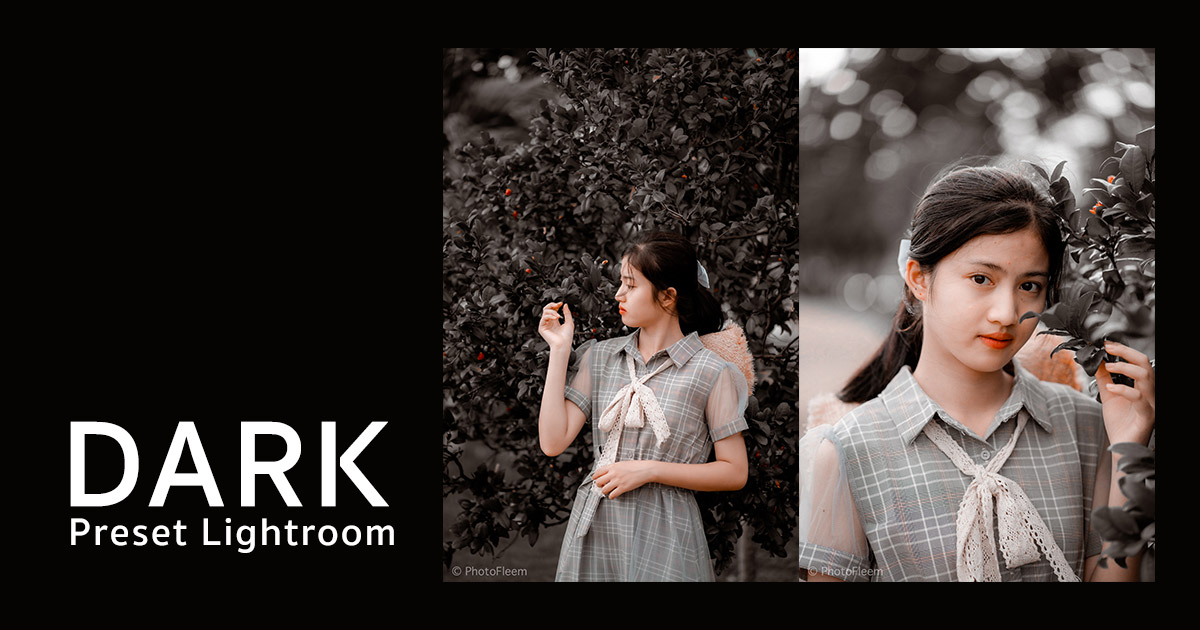 Lightroom Preset โทนป่ามืด สูตรผิวส้ม