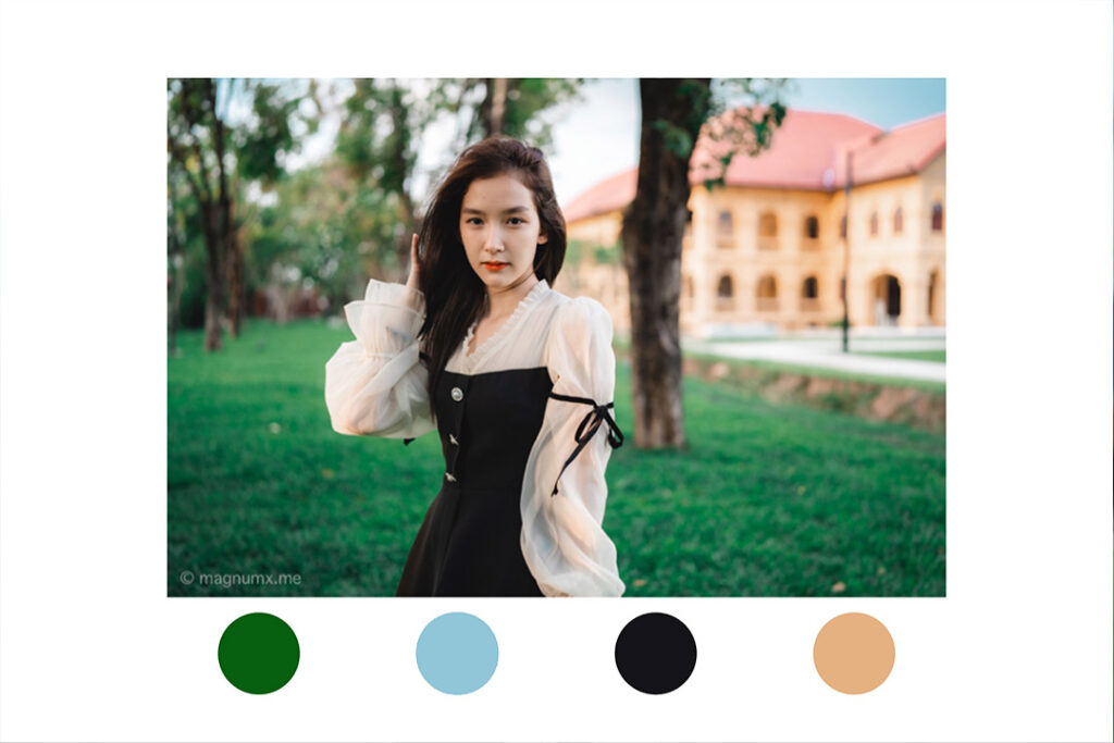 Lightroom preset ฟรีแต่งรูปโทน Classic